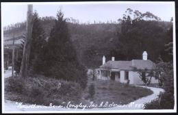 TASMANIA - Ash Besters Tasmania A.B.Series No 557 Real Photo Postcard Entitled "Hawthorn Inn, Longley Tas" Unused - Hobart