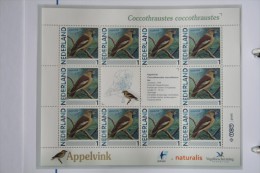 Persoonlijk Zegel Thema Birds Vogels Oiseaux Pájaro Sheet APPELVINK Hawfinch 2011-2014 Nederland - Neufs