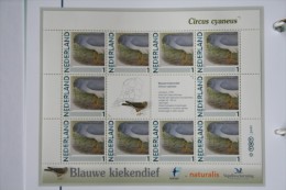Persoonlijk Zegel Thema Birds Vogels Oiseaux Pájaro Sheet BLAUWE KIEKENDIEF  BLUE HARRIER 2011-2014 Nederland - Ungebraucht