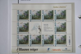 Persoonlijk Zegel Thema Birds Vogels Oiseaux Pájaro Sheet BLAUWE REIGER  BLUE HERON 2011-2014 Nederland - Nuevos