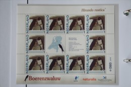 Persoonlijk Zegel Thema Birds Vogels Oiseaux Pájaro Sheet BOERENZWALUW  SWALLOW 2011-2014 Nederland - Nuovi