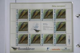 Persoonlijk Zegel Thema Birds Vogels Oiseaux Pájaro Sheet BOOMKLEVER  NUTHATCH 2011-2014 Nederland - Nuovi