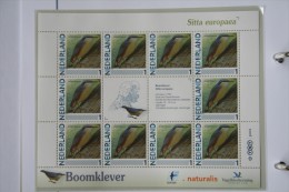 Persoonlijk Zegel Thema Birds Vogels Oiseaux Pájaro Sheet BOOMKLEVER  NUTHATCH 2011-2014 Nederland - Neufs