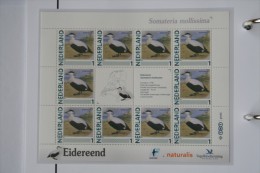 Persoonlijk Zegel Thema Birds Vogels Oiseaux Pájaro Sheet EIDEREEND EIDER 2011-2014 Nederland - Neufs