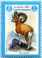 N° Michel 1343 (YT 1166) - Timbre D´Afghanistan (MNH) - (1984) - Argali Or Mountain Sheep (Ovis Ammon) (JS) - Afghanistan