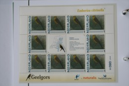 Persoonlijk Zegel Thema Birds Vogels Oiseaux Pájaro Sheet GEELGORS Yellow-hammer 2011-2014 Nederland - Neufs