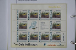 Persoonlijk Zegel Thema Birds Vogels Oiseaux Pájaro Sheet GELE KWIKSTAART YELLOW WAGTAIL 2011-2014 Nederland - Nuovi