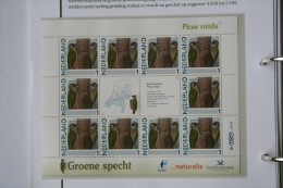 Persoonlijk Zegel Thema Birds Vogels Oiseaux Pájaro Sheet GROENE SPECHT Yaffle 2011-2014 Nederland - Unused Stamps