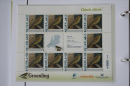 Persoonlijk Zegel Thema Birds Vogels Oiseaux Pájaro Sheet GROENLING GREENFINCH 2011-2014 Nederland - Nuovi
