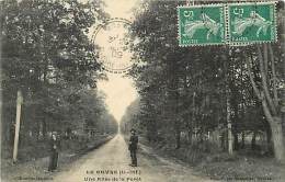 Loire Atlantique -ref B428- Le Gavre - Une Allee De La Foret  -carte Bon Etat - - Le Gavre