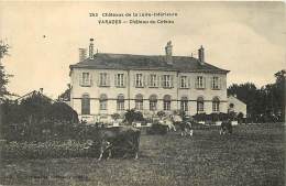 Loire Atlantique -ref B421-chateaux De La Loire Inferieure -varades - Chateau Du Coteau -vaches Au Paturage  - - Varades