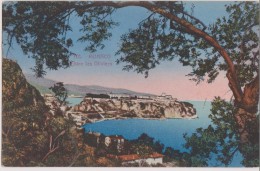 MONACO,DYNASTIE DES GRIMALDI,1924,olivier,vue Aerienne - Sonstige & Ohne Zuordnung