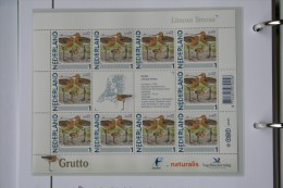Persoonlijk Zegel Thema Birds Vogels Oiseaux Pájaro Sheet GRUTTO GODWIT 2011-2014 Nederland - Unused Stamps