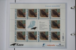 Persoonlijk Zegel Thema Birds Vogels Oiseaux Pájaro Sheet KAUW Jackdaw 2011-2014 Nederland - Unused Stamps