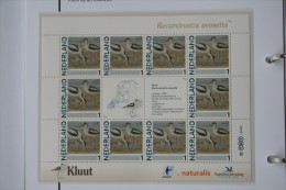 Persoonlijk Zegel Thema Birds Vogels Oiseaux Pájaro Sheet KLUUT Avocet 2011-2014 Nederland - Unused Stamps