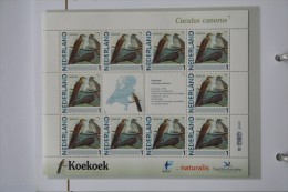 Persoonlijk Zegel Thema Birds Vogels Oiseaux Pájaro Sheet KOEKOEK CUCKOO 2011-2014 Nederland - Unused Stamps