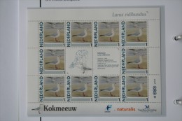 Persoonlijk Zegel Thema Birds Vogels Oiseaux Pájaro Sheet KOKMEEUW BLACK-HEADED GULL 2011-2014 Nederland - Unused Stamps