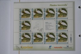 Persoonlijk Zegel Thema Birds Vogels Oiseaux Pájaro Sheet LEPELAAR Spoonbill 2011-2014 Nederland - Unused Stamps