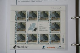 Persoonlijk Zegel Thema Birds Vogels Oiseaux Pájaro Sheet MEERKOET Coot 2011-2014 Nederland - Neufs