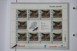 Persoonlijk Zegel Thema Birds Vogels Oiseaux Pájaro Sheet MEREL BLACKBIRD 2011-2014 Nederland - Nuevos