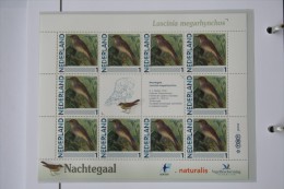 Persoonlijk Zegel Thema Birds Vogels Oiseaux Pájaro Sheet NACHTEGAAL NIGHTINGALE 2011-2014 Nederland - Nuovi