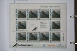 Persoonlijk Zegel Thema Birds Vogels Oiseaux Pájaro Sheet NOTENKRAKER NUTCRACKER 2011-2014 Nederland - Neufs