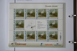 Persoonlijk Zegel Thema Birds Vogels Oiseaux Pájaro Sheet OOIEVAAR STORK 2011-2014 Nederland - Nuevos