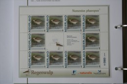 Persoonlijk Zegel Thema Birds Vogels Oiseaux Pájaro Sheet REGENWULP WHIMBREL 2011-2014 Nederland - Neufs