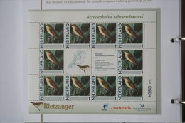 Persoonlijk Zegel Thema Birds Vogels Oiseaux Pájaro Sheet RIETZANGER Sedge Warbler 2011-2014 Nederland - Neufs