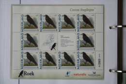 Persoonlijk Zegel Thema Birds Vogels Oiseaux Pájaro Sheet ROEK ROOK 2011-2014 Nederland - Unused Stamps