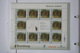 Persoonlijk Zegel Thema Birds Vogels Oiseaux Pájaro Sheet ROERDOMP Bittern 2011-2014 Nederland - Unused Stamps