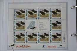 Persoonlijk Zegel Thema Birds Vogels Oiseaux Pájaro Sheet SCHOLEKSTER OYSTERCATCHER 2011-2014 Nederland - Unused Stamps