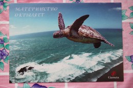 Sea TURTLE  - Tortue  - Modern Ukrainian PC - 2013 - Schildpadden