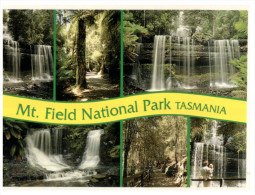 (123) Australia - TAS - Mt Field National Park Waterfalls - Wilderness