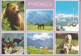 Les Animaux Des Pyrenées - Zonder Classificatie