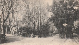 MONTELIMAR (Drôme) - Jardin Public - Entrée Du Rond-Point - Montelimar