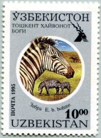 N° Michel 99 (N° Yvert 61D) - Timbre D´Ouzbekistan (MNH) - (1995) - Zebra (Equus Quagga Boehmi) (JS) - Ouzbékistan