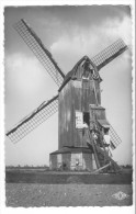 Steenvoorde (59) - Le Moulin (Draven Meulen), Semi-moderne. Bon état, Non Circulé. - Steenvoorde