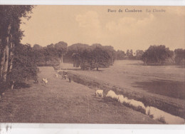 CAMBRON : Parc - Brugelette