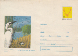 14926- BIRDS, EGRET, COVER STATIONERY, 1972, ROMANIA - Storchenvögel