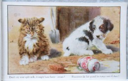 Cpa Litho Chromo Illustrateur VALTER FLORENCE HOUSE SERIE Artistique N° 2607 Chien Et Chat Lait Renversé - Valter, Fl. E.