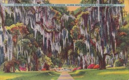 Avenue Of Live Oaks Brookgreen Gardens Along South Carolina's Famous Coast Charleston South Carolina 1949 - Charleston