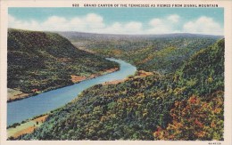 Grand Canyon Of The Tennessee As Viewed From Signal Mountain Ashville North Carolina 1944 - Asheville