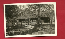 BXB-35 Campo Enrico Pestalozzi Arcegno, Casa Enrico Pestalozzi. Cachet Losone 1932 Pour Turbach. Scout. ANIME - Campo