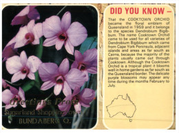 (404) Australia - QLD - Bundaberg And Orchid Flowers - Sunshine Coast