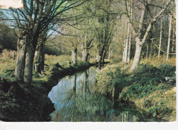 AUNEAU (28-Eure Et Loir), Les Bords De L'Aunay, Ed. Estel - Auneau