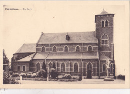 KAGGEVINNE / CAGGEVINNE : De Kerk - Diest