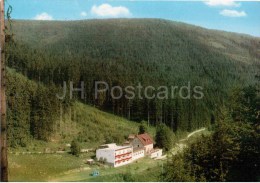 Hundert Jahre Pfeiferhaus - Waldcafe Und Pension - Germany - 1988 Gelaufen - Bayreuth