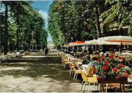 Bad Pyrmont - Deutschlands Schönster Kurpark - Hauptallee - Germany - 1973 Gelaufen - Bad Pyrmont