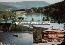 Mummelsee Im Schwarzwald - Berghotel Mummelsee - 3119 - Germany - Ungelaufen - Hochschwarzwald